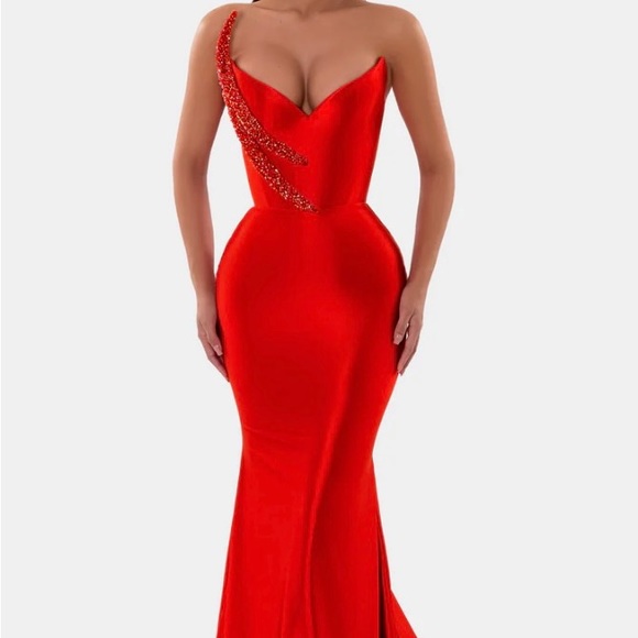 Albina Dyla Dresses & Skirts - Albina Dyla red embellished corset long evening gown
